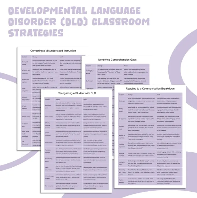 DLD classroom strategies resource cover