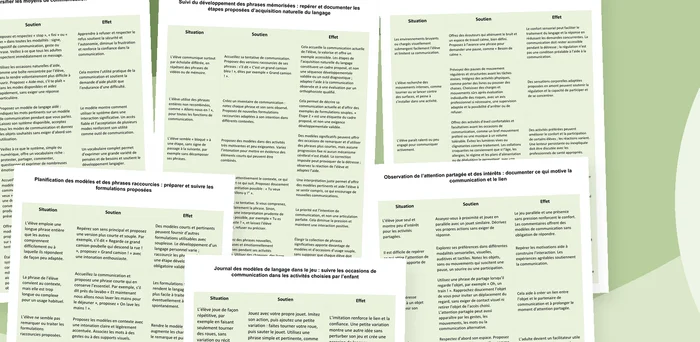 Aperçu des tableaux d'observation du langage gestalt et de l'écholalie