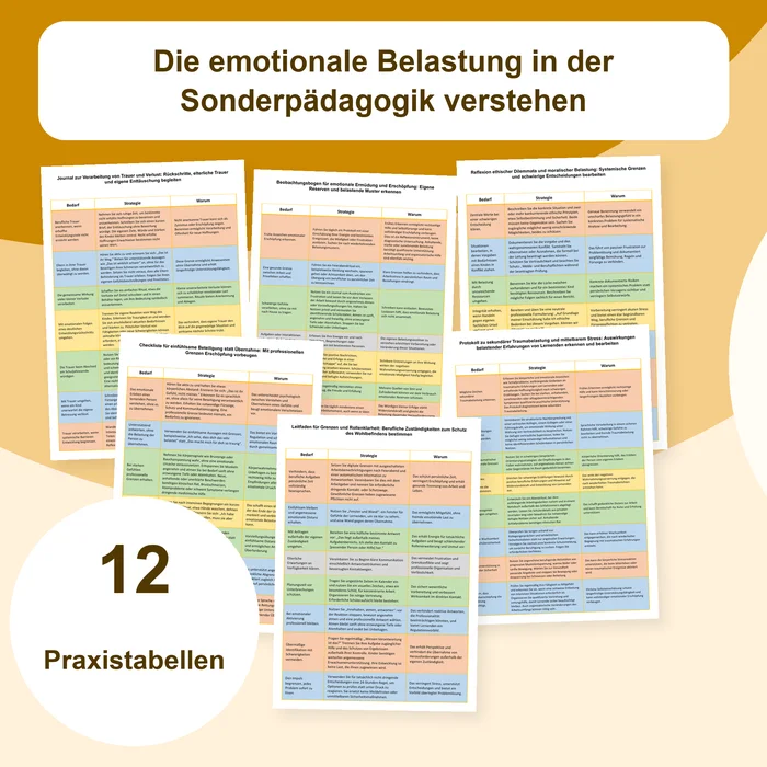 Emotionale Belastung in der Sonderpädagogik Materialcover
