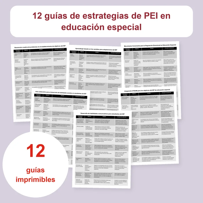 Portada del recurso de estrategias de PEI
