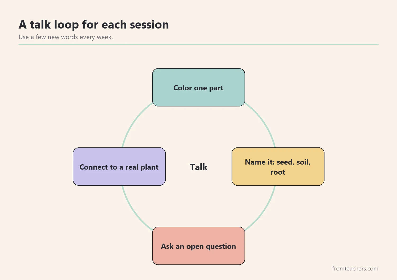 Cycle diagram linking coloring, naming, asking, and connecting to a real plant