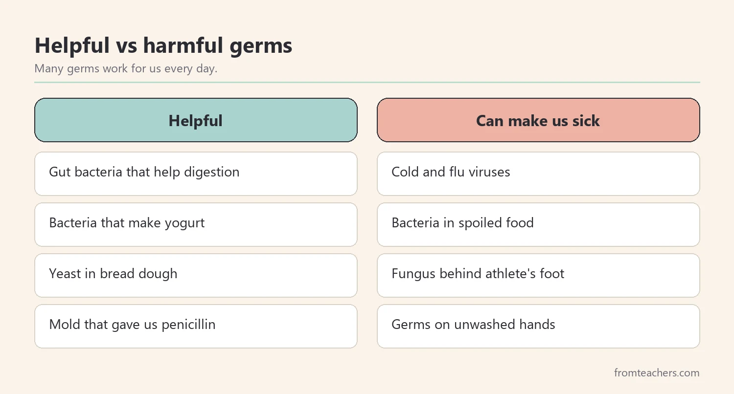 Comparison of helpful germs and germs that can make people sick