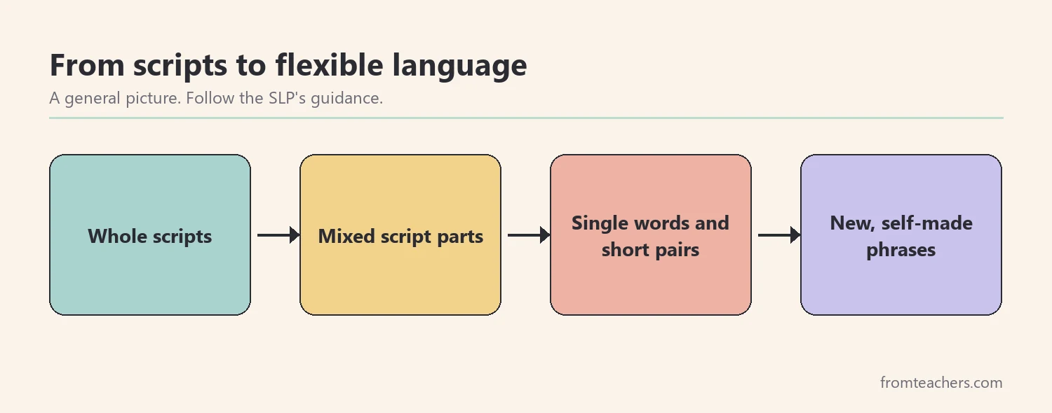 General progression from whole scripts to mixed parts to single words to new phrases