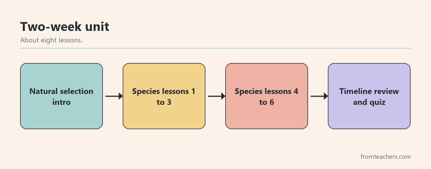 Flow of four boxes showing a two week unit on hominin species