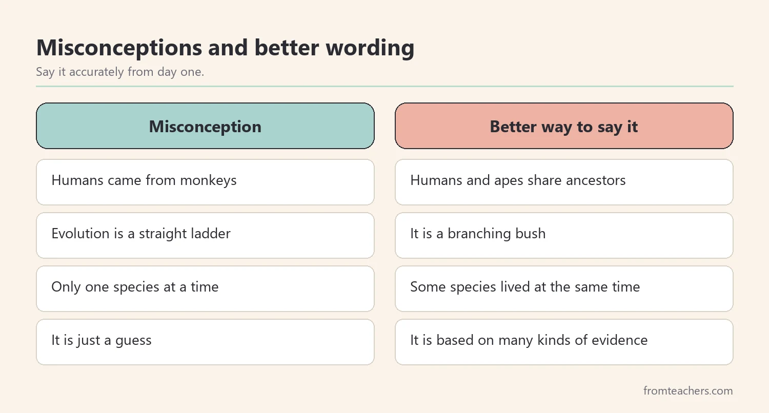 Comparison of common misconceptions about human evolution and more accurate ways to say each idea
