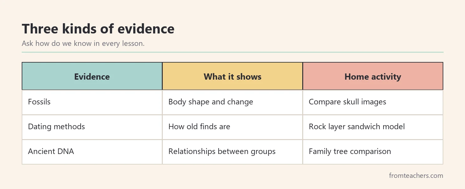Matrix of three kinds of evidence in human evolution with what each shows and a simple home activity
