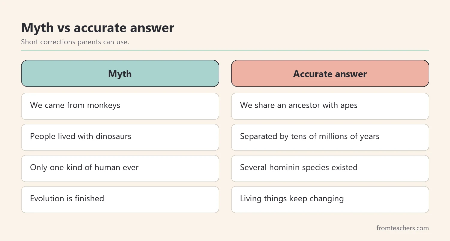 Comparison of common myths and accurate answers about human evolution