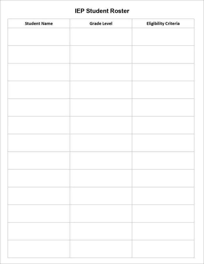 IEP caseload management printable pages preview