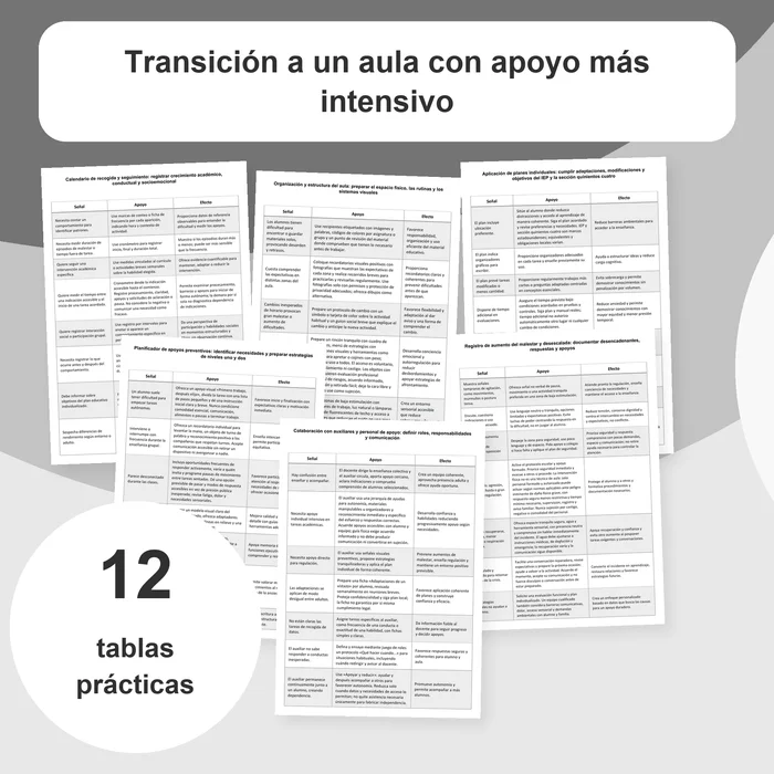 Portada del recurso sobre organización y adaptaciones en un aula con apoyo intensivo