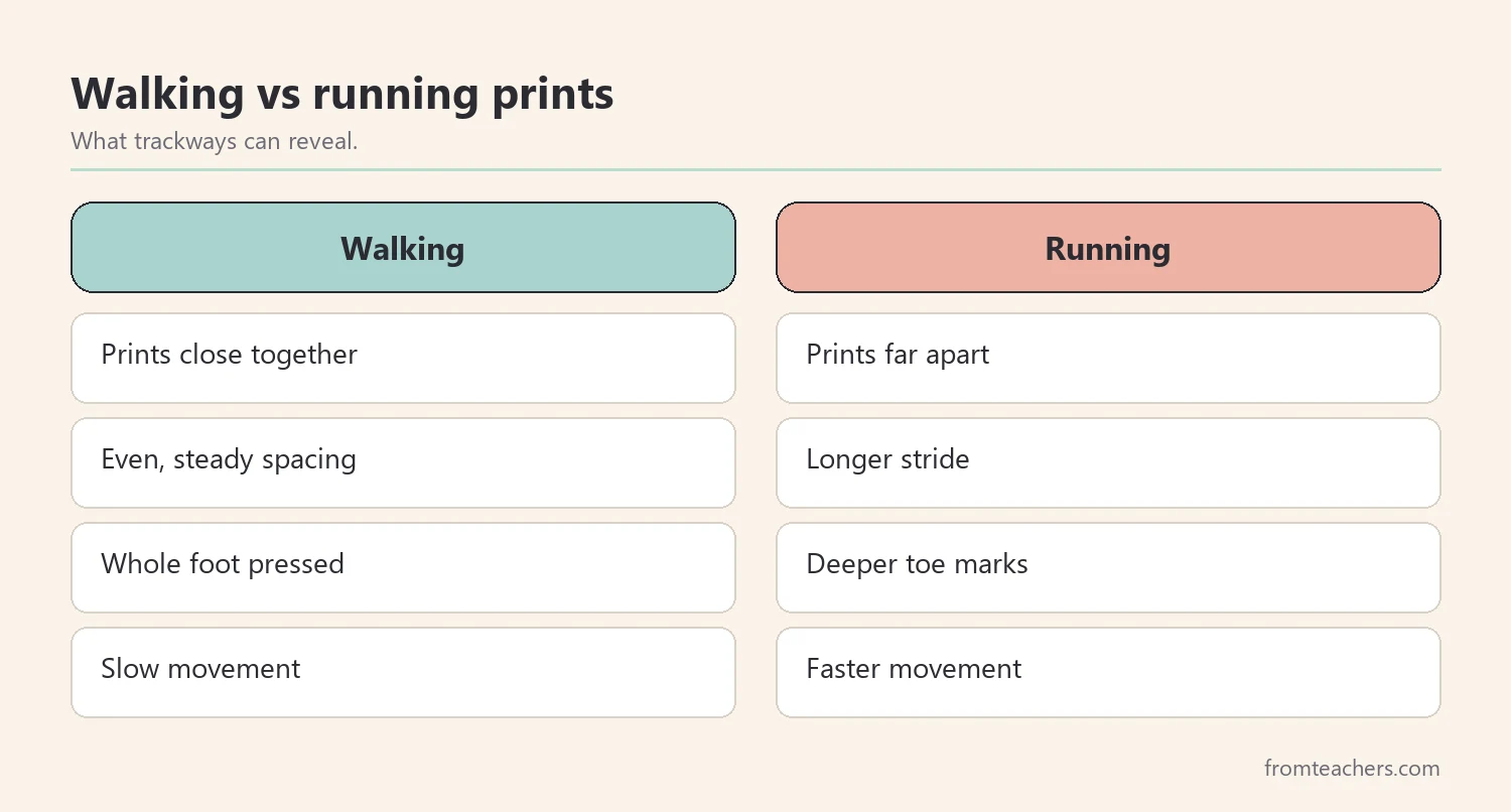 Comparison of walking and running footprint patterns in a trackway activity