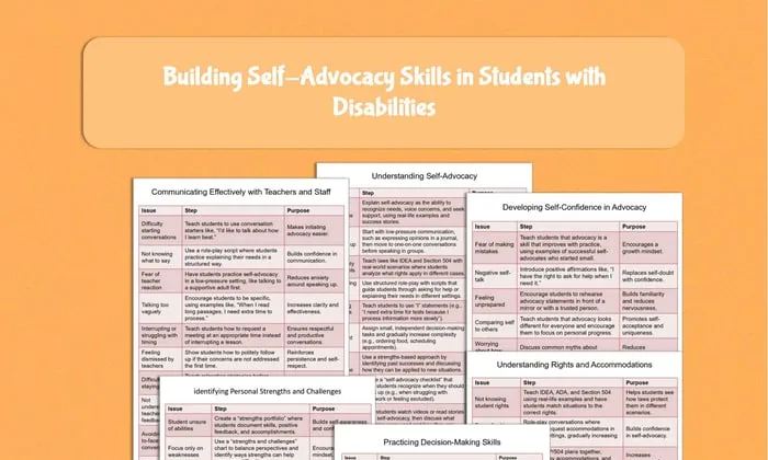 Preview page from the self-advocacy toolkit with an issue, strategy and purpose
