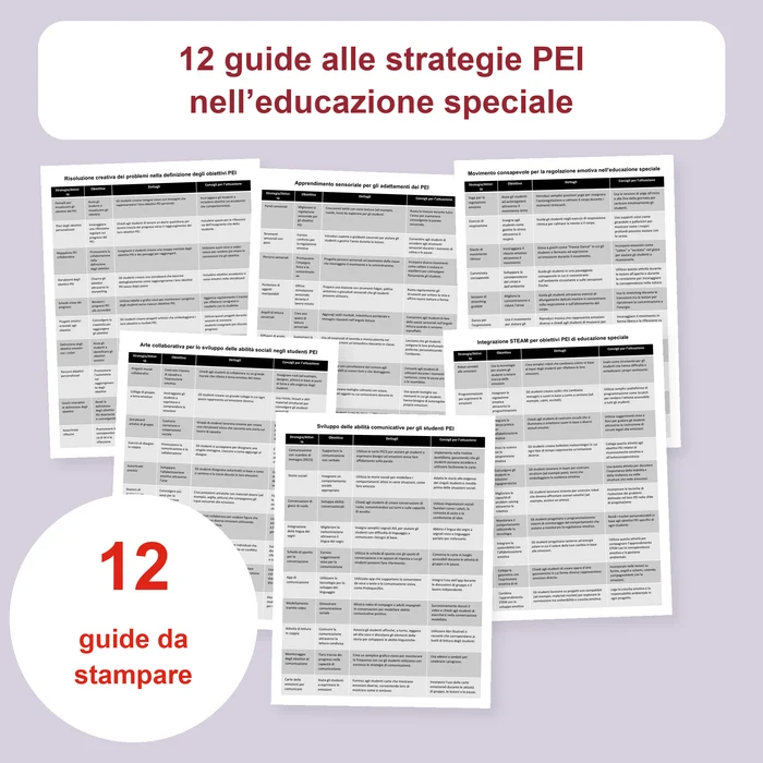 Copertina delle 12 guide alle strategie del PEI