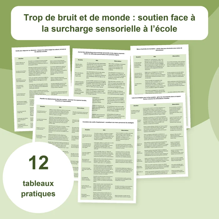 Couverture de la ressource sur la surcharge sensorielle à l'école
