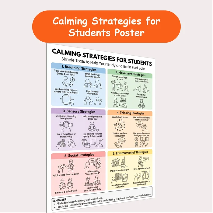 types of calming strategies resource cover